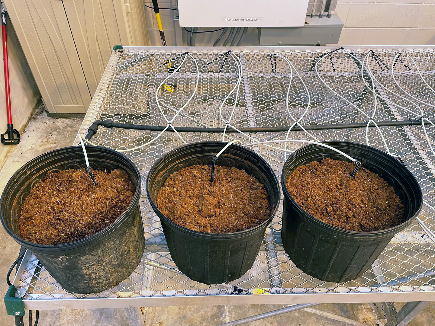 Three planters filled with dirt sit on a metal rack.